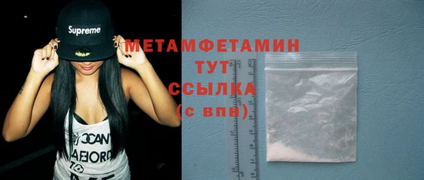 прущие грибы Пересвет