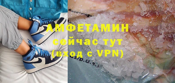 прущие грибы Пересвет