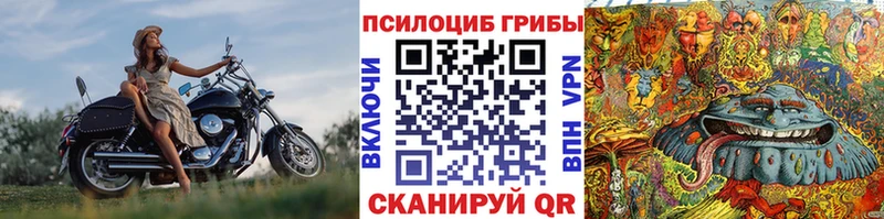 Псилоцибиновые грибы мухоморы Лысково